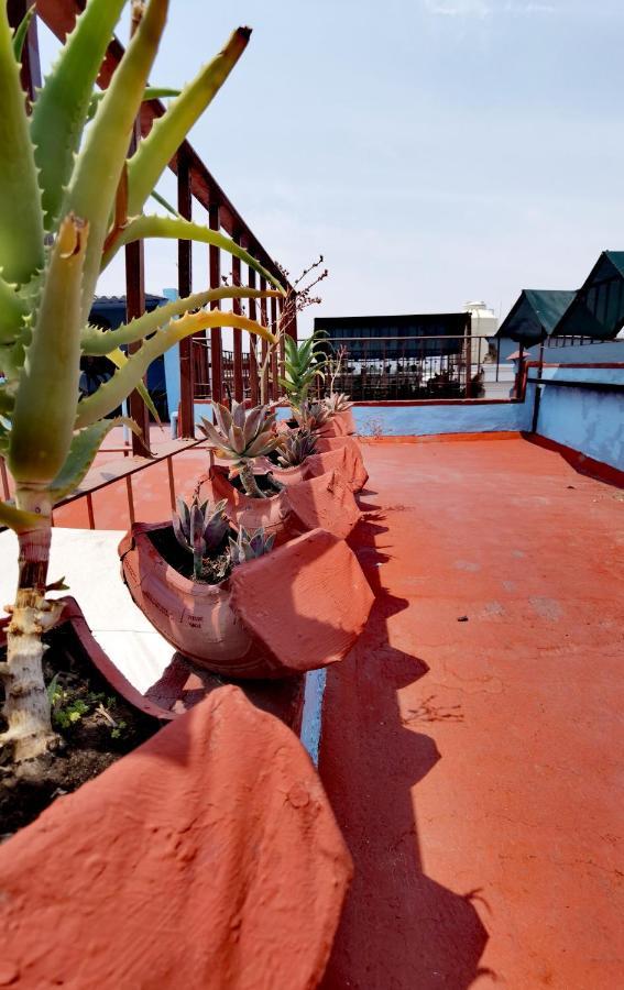 The Roof Backpackers Hotel Guadalajara Luaran gambar