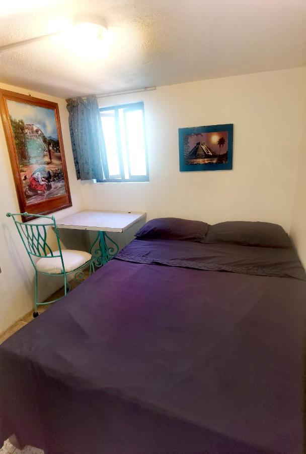 The Roof Backpackers Hotel Guadalajara Luaran gambar